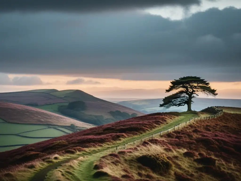 Imagen de los páramos de Yorkshire al anochecer, con un solitario árbol y cielo nublado